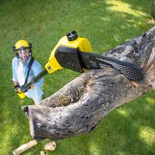 Best Lawn Maintenance Plans  in Candlewick Lake, IL